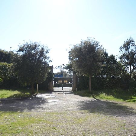 Villa Anselmi - Arteindiretta Livorno Eksteriør bilde